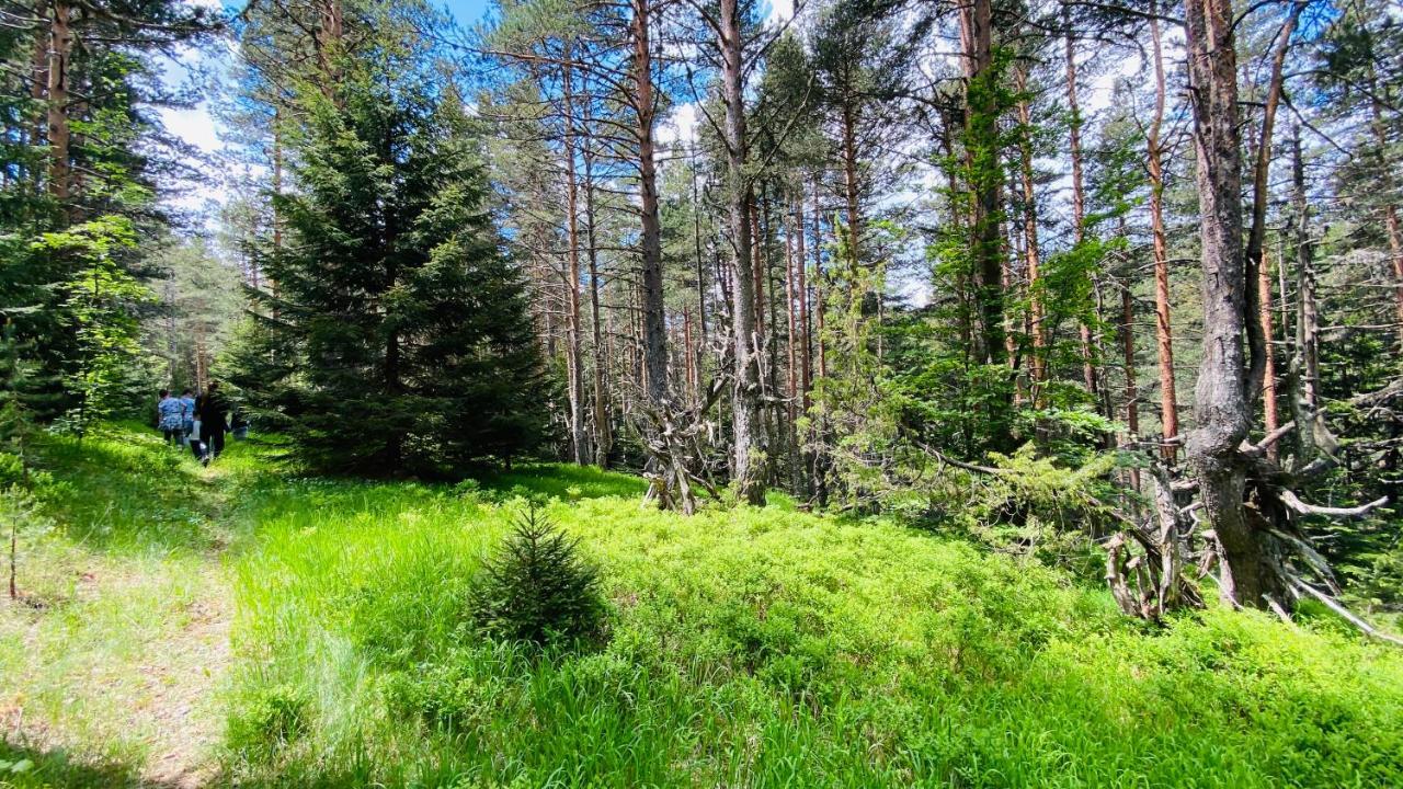 Eco Village Pavlovic Жабляк Екстер'єр фото